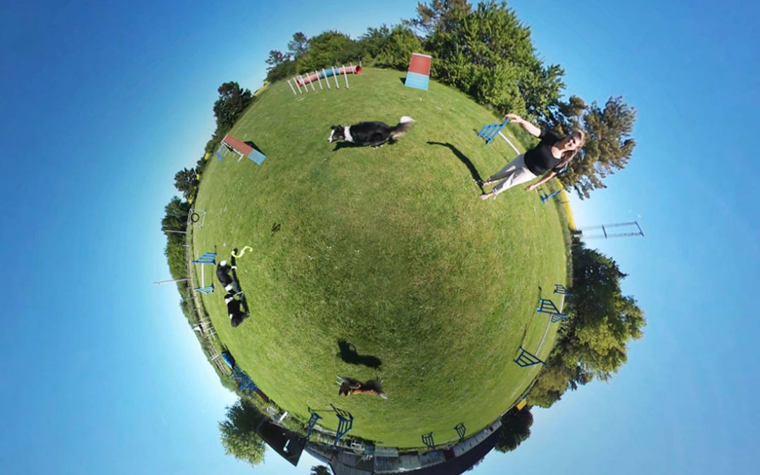 Dog Phobia Therapy | Cool Kids