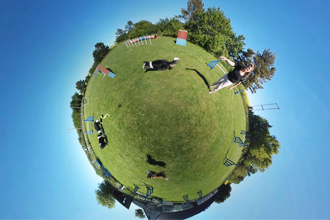 Dog Phobia Therapy | Cool Kids