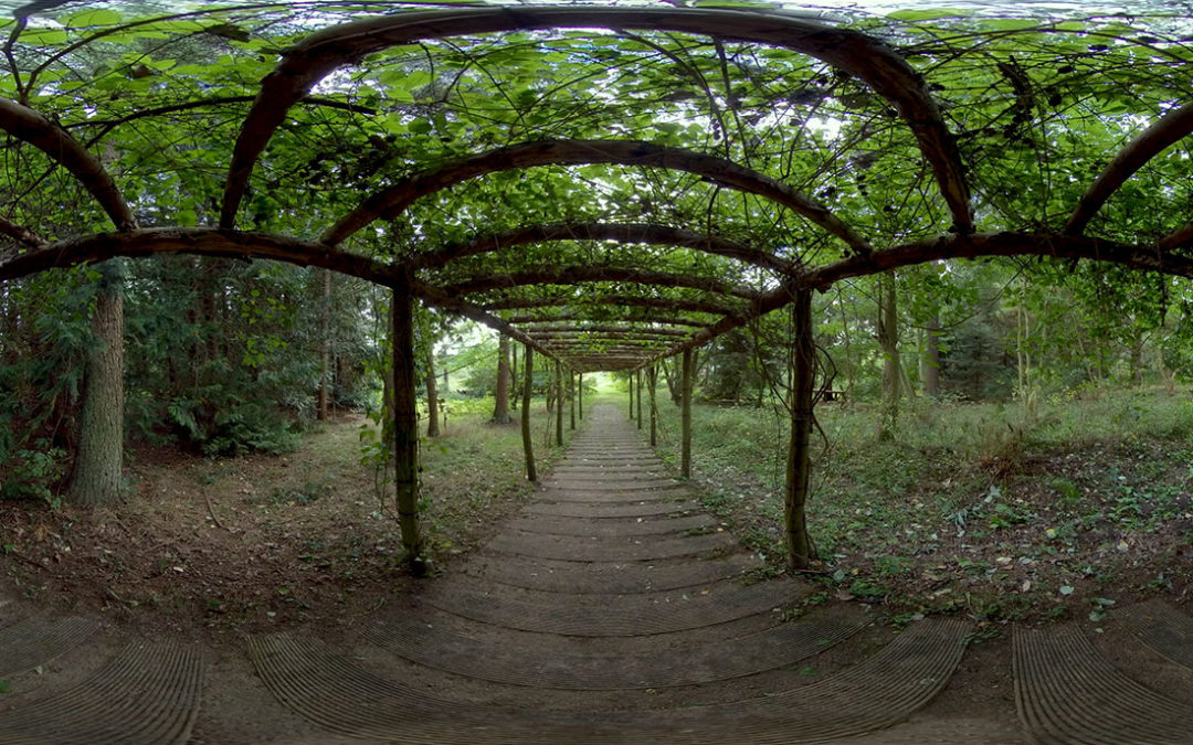 VR tour through therapy garden I Nacadia