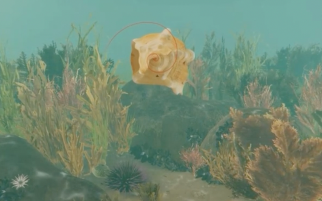 Explore the Ria Formosa-laguna in VR I Algarve