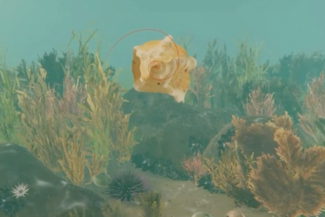 Explore the Ria Formosa-laguna in VR I Algarve