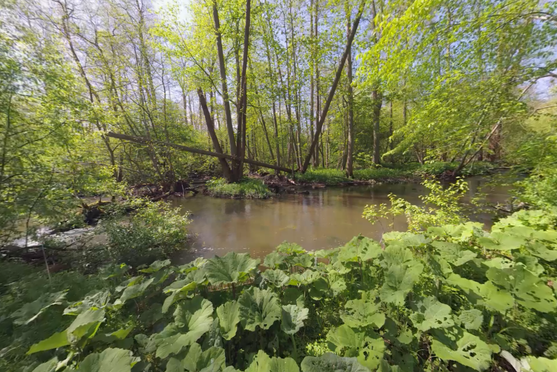 Stressrelief in psychiatry I Virtual Leisure