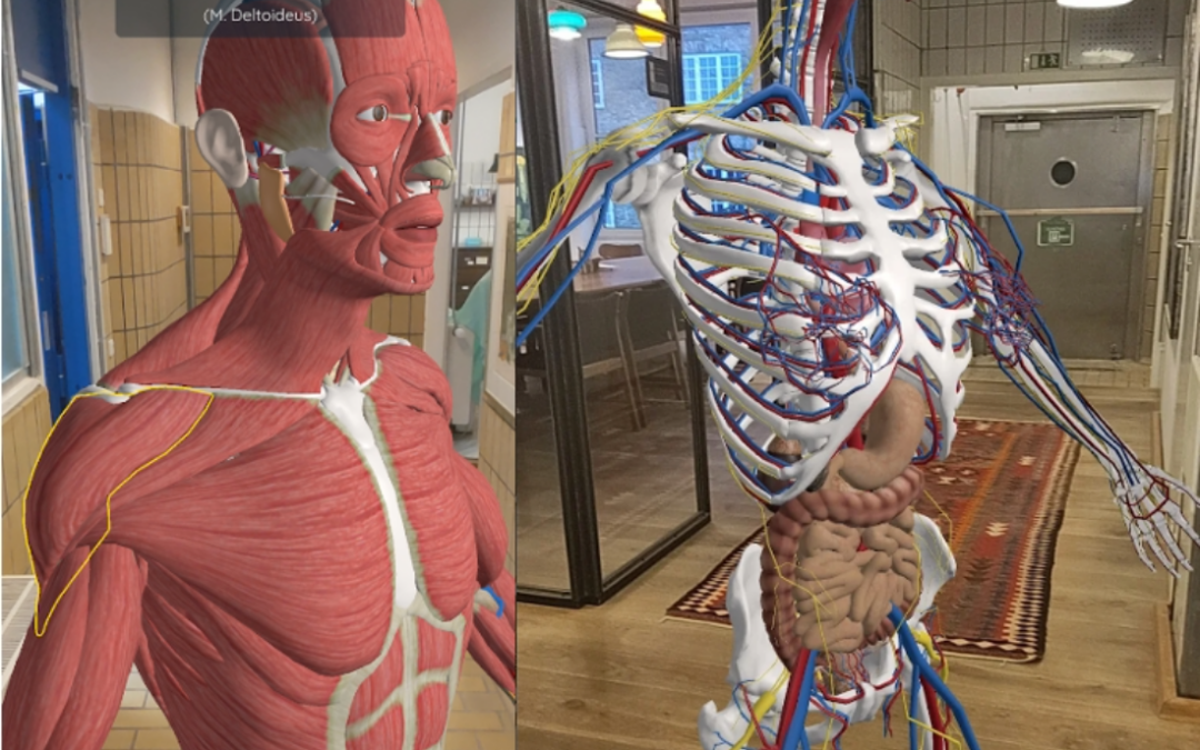 Body Anatomy AR