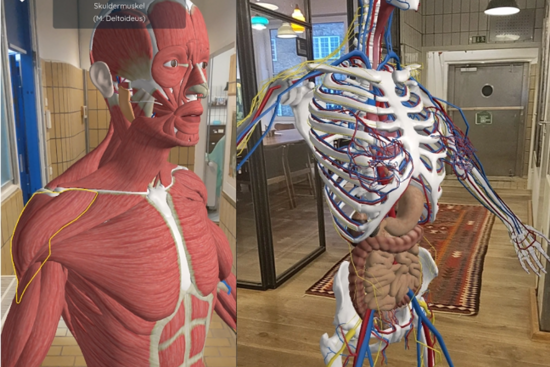 Body Anatomy AR