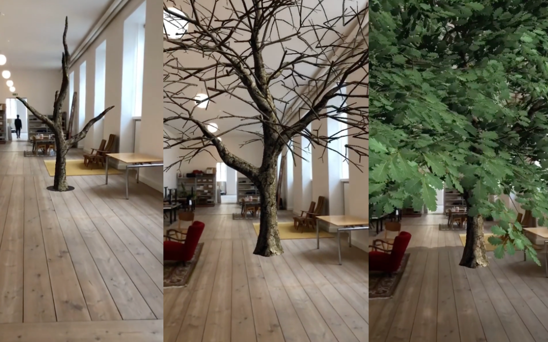 Plant en Vintereg i AR I EcoTree